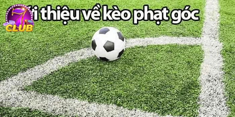 Trải nghiệm người chơi phân tích và dự đoán KÈO PHAT GÓC